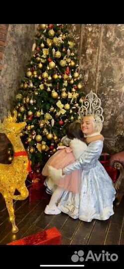 Дед Мороз на дом