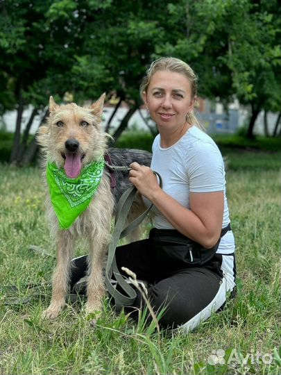 Спасите собаку из приюта