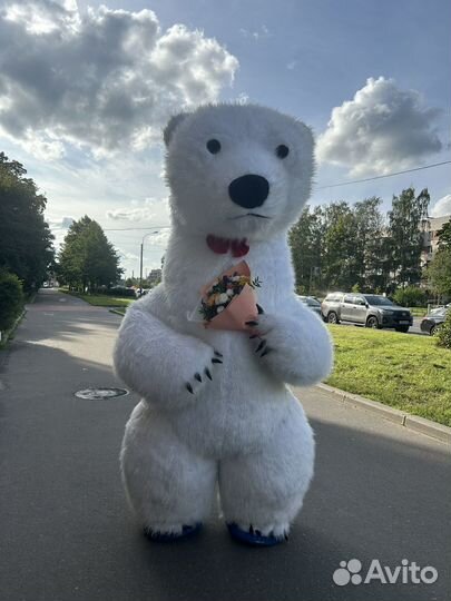 Белый мишка поздравление, бурый мишка, заяц