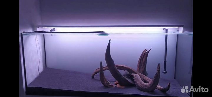 Коряги для аквариума