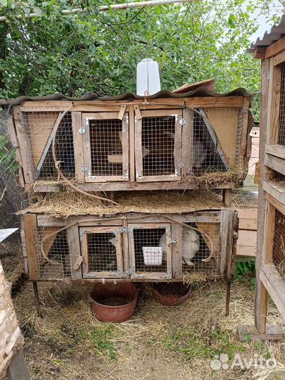 Кроликоферма