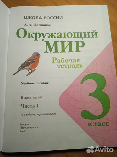 Рабочая тетрадь Окружающий мир плешаков 3 класс