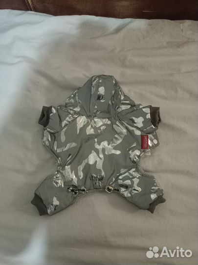 Собачья одежда