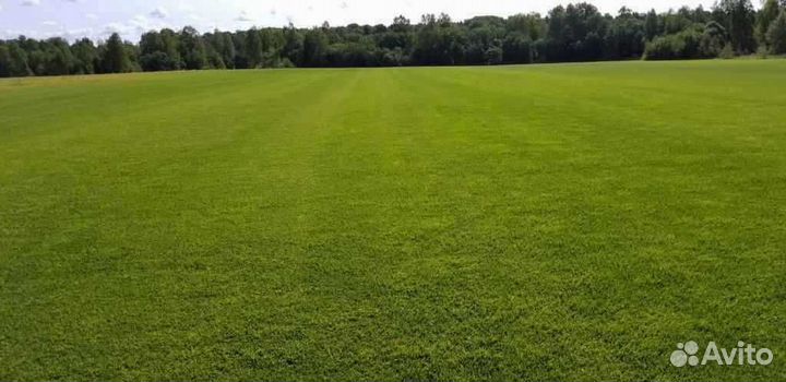 Рулонный газон напрямую от производителя