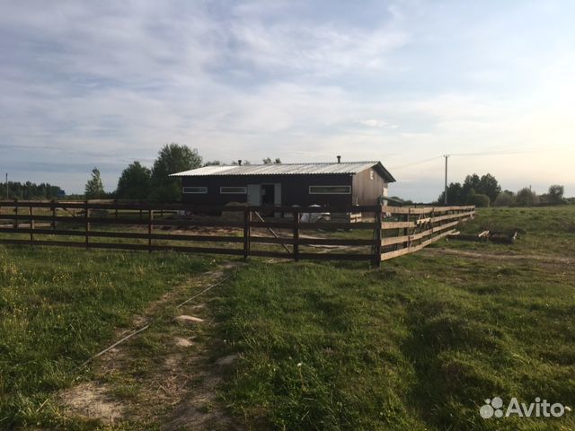 Фермерское хозяйство