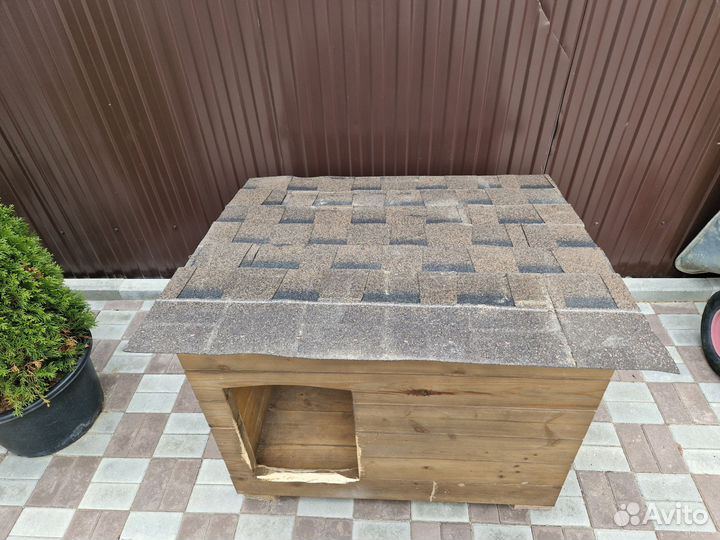 Собачья будка