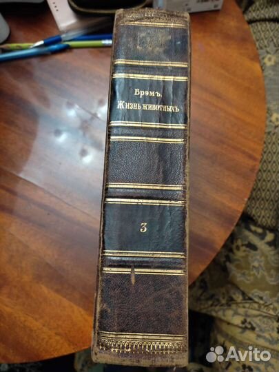 Старинная книга Жизнь животных Брэмь том3 пресм