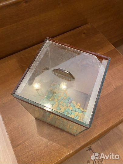 Аквариум на 2 л