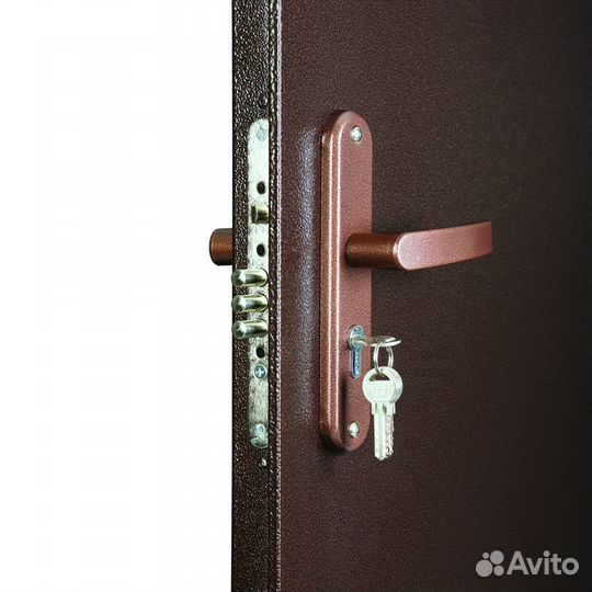 Дверь Профи мет/мет