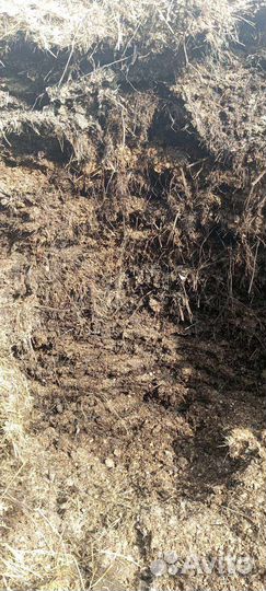 Перегной конский бесплатно