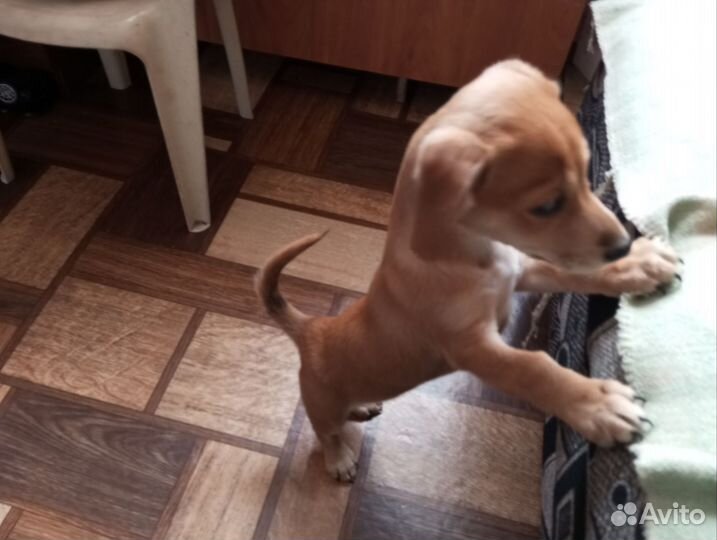 Маленькая девочка