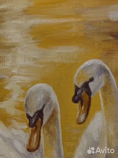 Картина маслом закат лебеди любовь пейзаж птицы