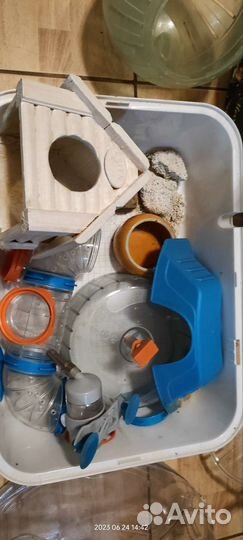 Клетка, домик, подстилка, корм