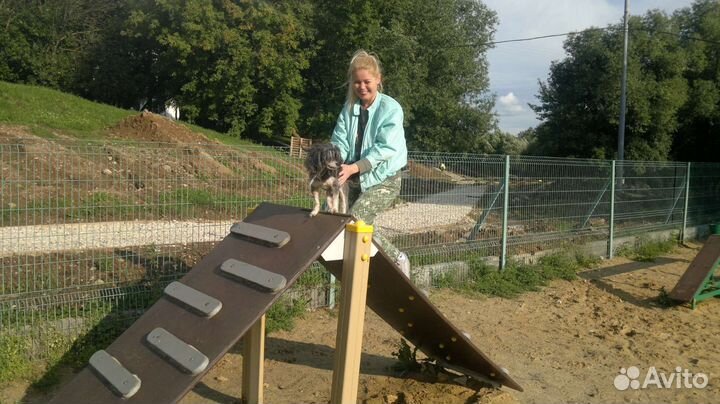 Уход за животными на время отпуска