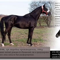 Как это делалось в е: рассказ про контрабанду антиквариата: anastade.ru — LiveJournal