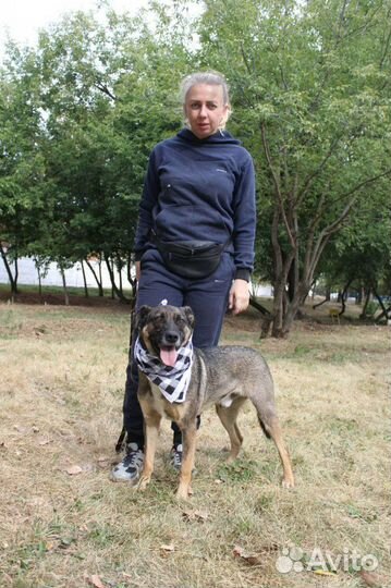 Забери Добби домой