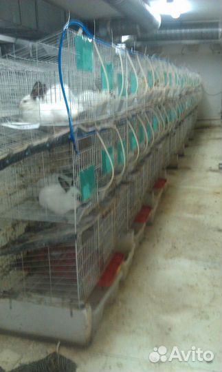 Клетки для кроликов и прочих. Цена за 9 секций
