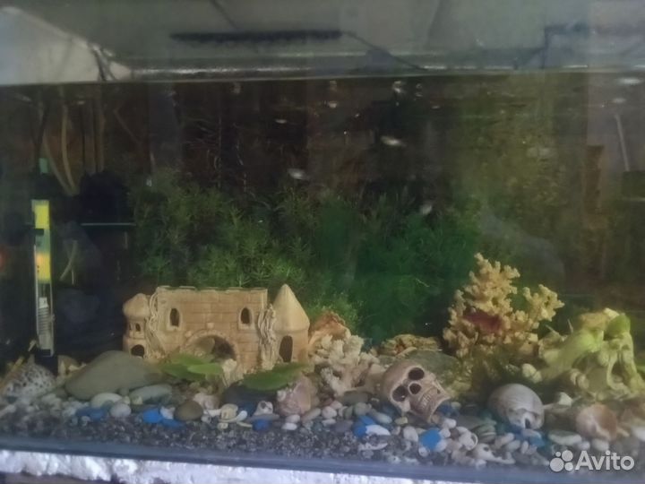 Продам аквариум