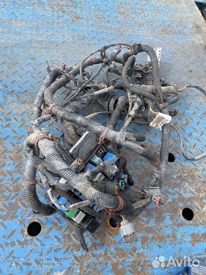 Моторная проводка коса эбу акцент 1.6 16 клапанный