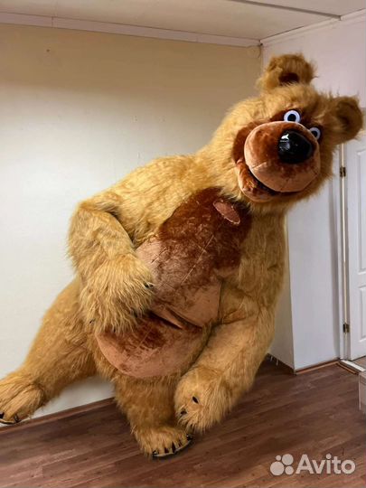 Большой белый мишка бурый мишка и панда