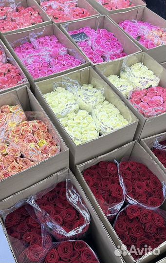 Розы оптом