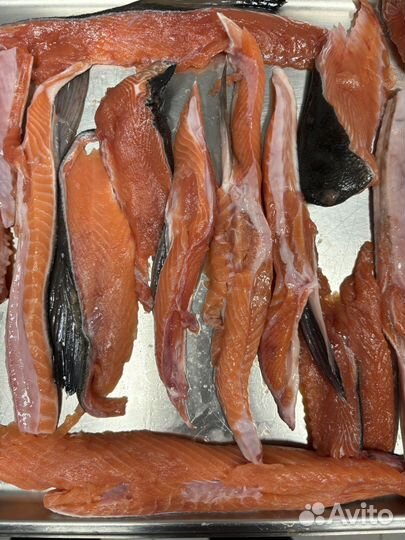 Кета брюшки