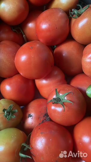 Помидоры домашние черри