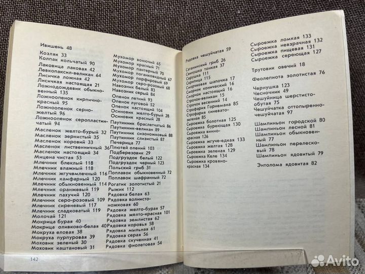 Наши грибы. Таллин Валгус 1979г