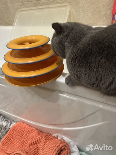 Игрушка для кота