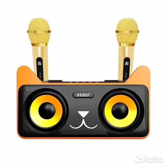 Колонка с 2 микрофонами котик sdrd SD305