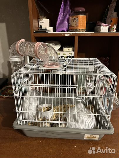 Джунгарский хомяк с клеткой