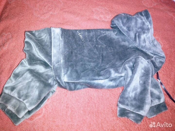 Велюровый комбез для собачки 32см по спинке новый