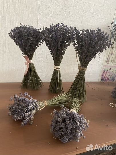 Букет лаванды