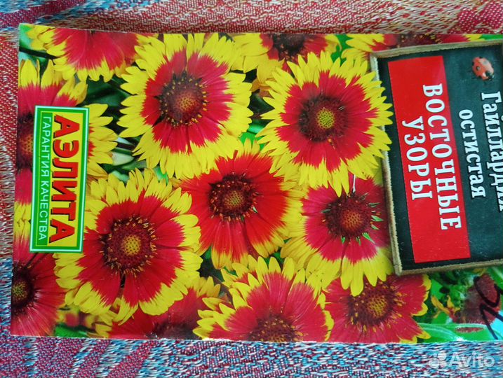 Гайллардия многолетние цветы