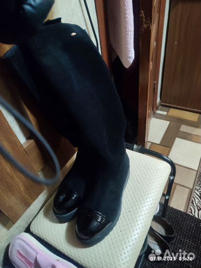 Сапоги женские