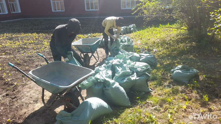 Услуги разнорабочих