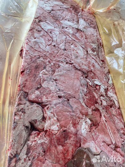 Корм для животных