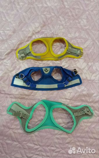 Вещи для щенка