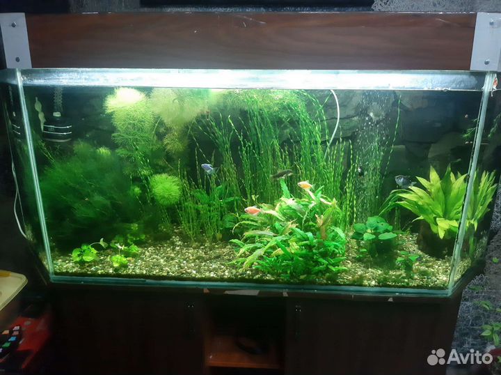 Аквариум