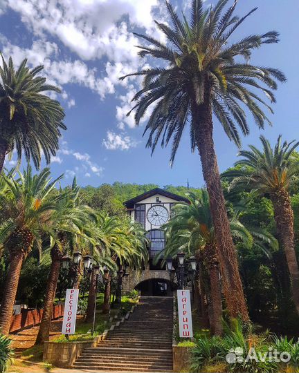 Вип поездка, экскурсия в Абхазию