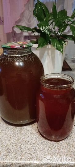 Мед натуральный, цветочный, свежайший