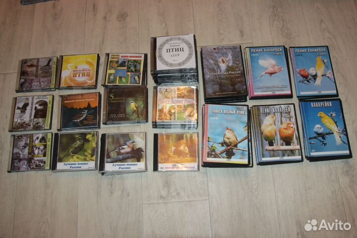 Диски голоса птиц