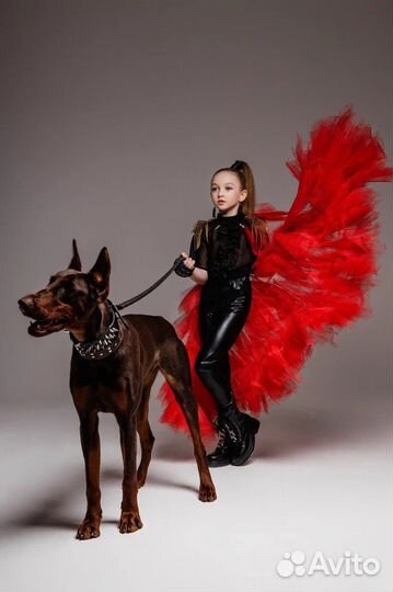 Фотосессия с доберманом
