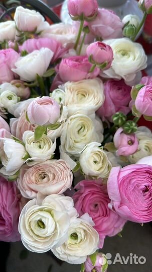 Ранункулюсы цветы букет