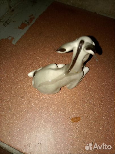 Ослик Жеребёнок