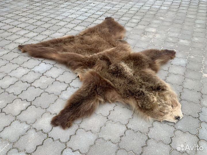 Шкура медведя имитация