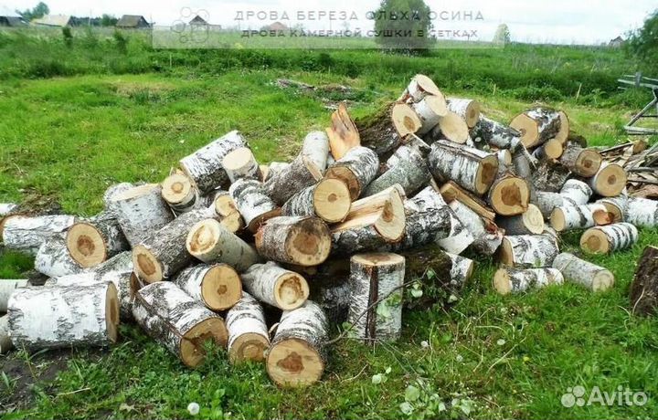 Дрова сухие