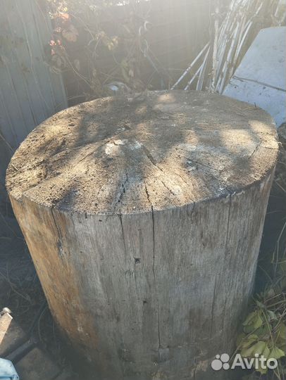 Декоративный пень