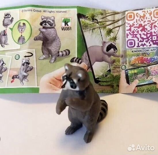 Киндер енот