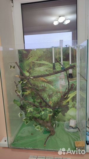 Террариум для рептилий бу